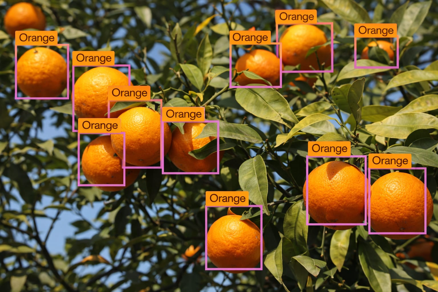 Computer Vision AI Equipment